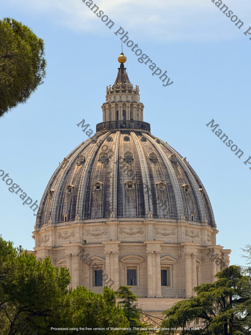 St. Peter's Dome in Vatican City under a clear blue sky, framed by green trees at the top and bottom.